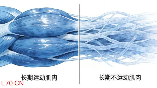 长期不运动的人如何科学运动