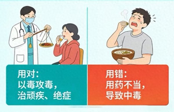 4大剧毒中药, 来看看你认识几个? 以毒攻毒是门绝活