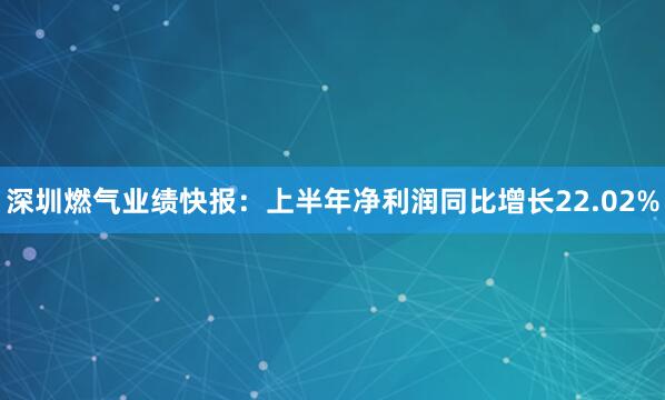 深圳燃气业绩快报：上半年净利润同比增长22.02%