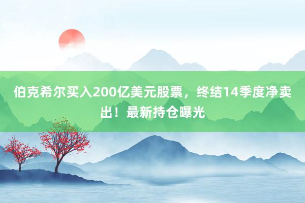 伯克希尔买入200亿美元股票，终结14季度净卖出！最新持仓曝光