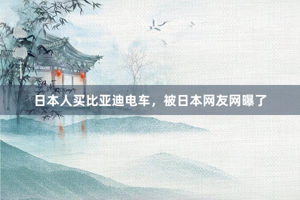 日本人买比亚迪电车，被日本网友网曝了