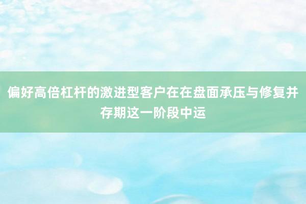 偏好高倍杠杆的激进型客户在在盘面承压与修复并存期这一阶段中运