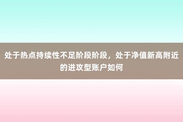 处于热点持续性不足阶段阶段，处于净值新高附近的进攻型账户如何