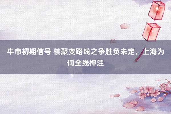 牛市初期信号 核聚变路线之争胜负未定,上海为何全线押注