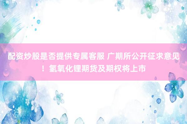 配资炒股是否提供专属客服 广期所公开征求意见！氢氧化锂期货及期权将上市